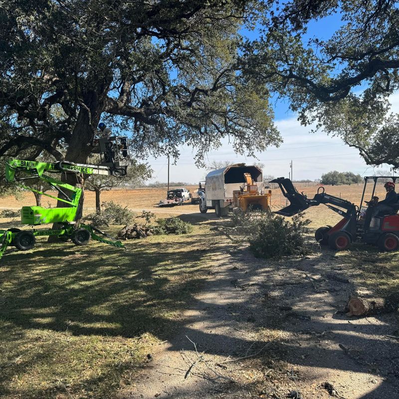Tree Pruning
