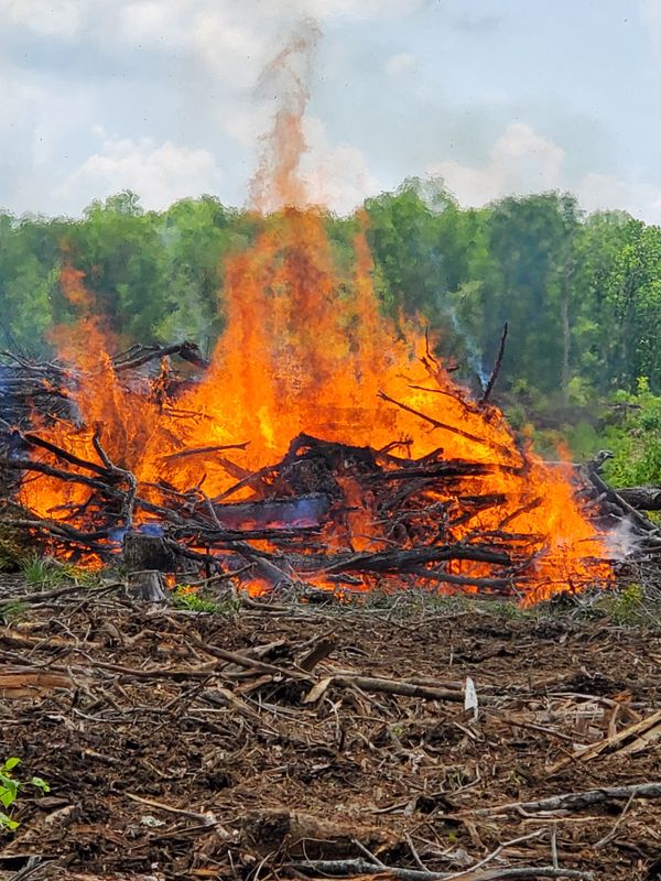 Land Clearing