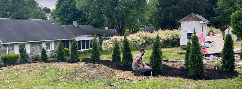 Landscape Installation