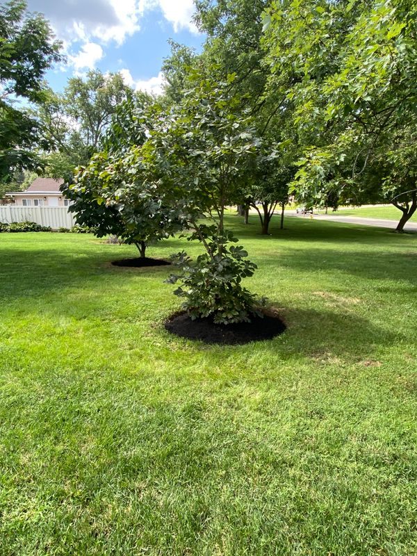 Mulching