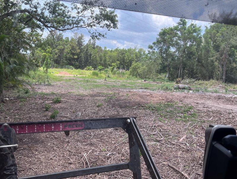 Residential Land Clearing