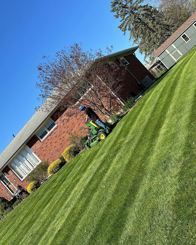 Landscaping