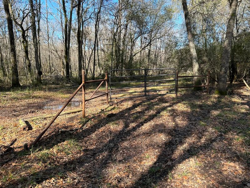 Fences