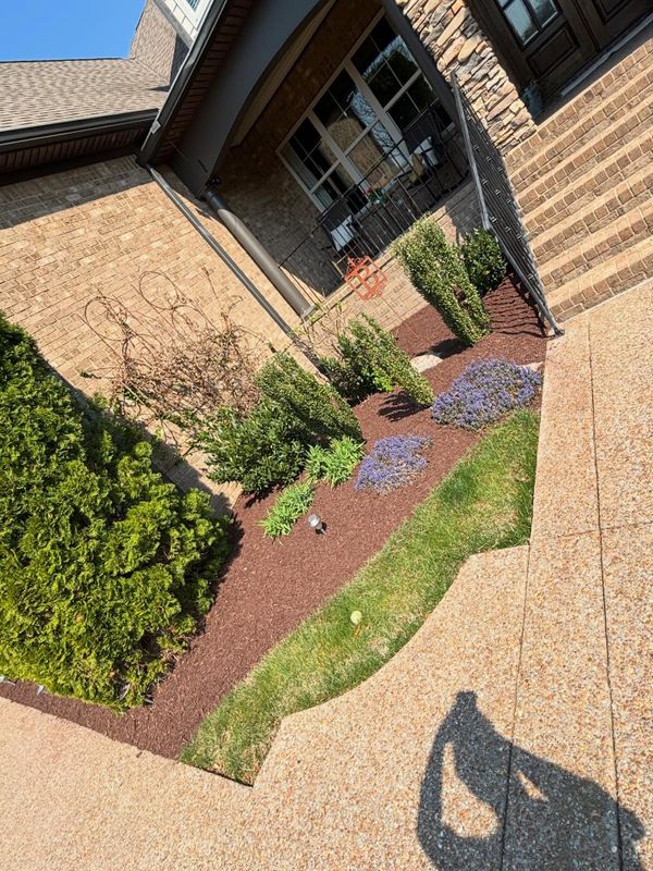 Landscape Design