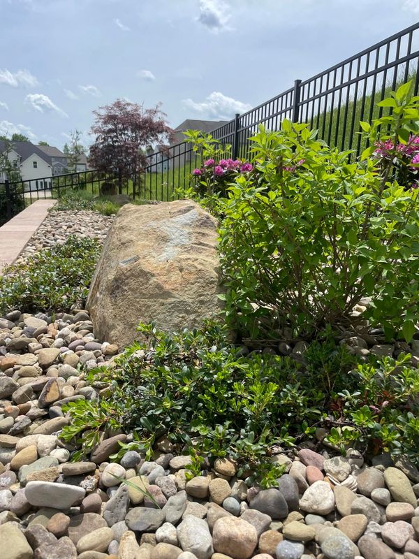 Planting & Garden Bed Installation
