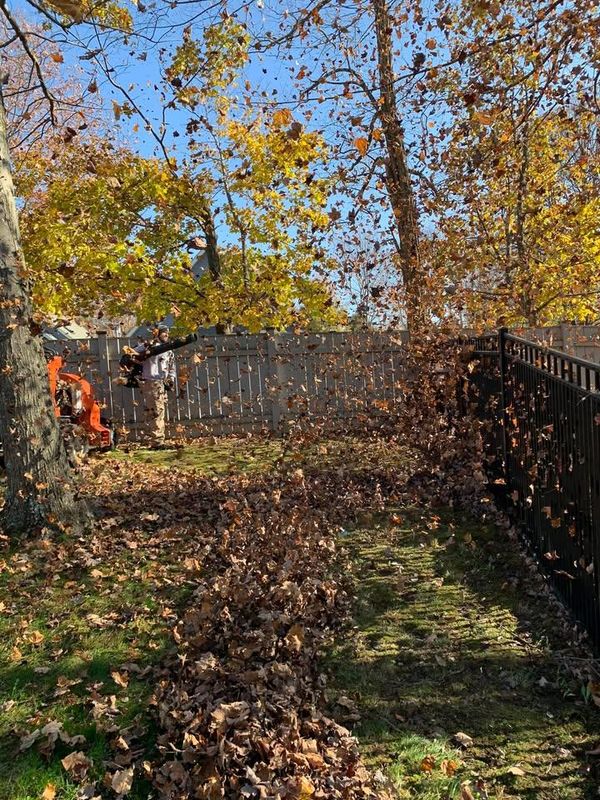 Weekly Lawn Maintenance