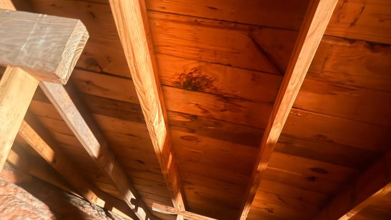 Pergola & Shade Structure Construction