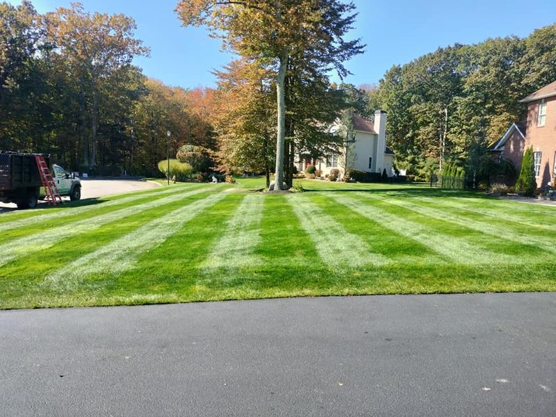 Mowing