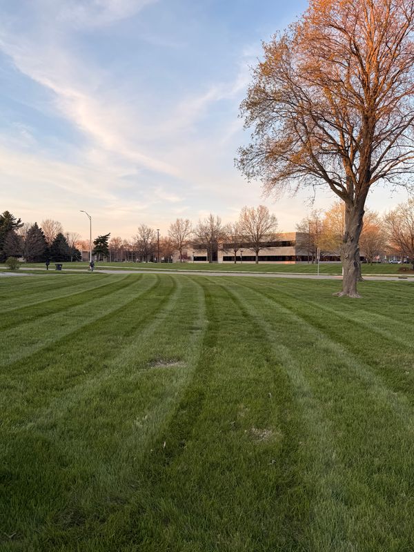 Lawn Care and Maintenance