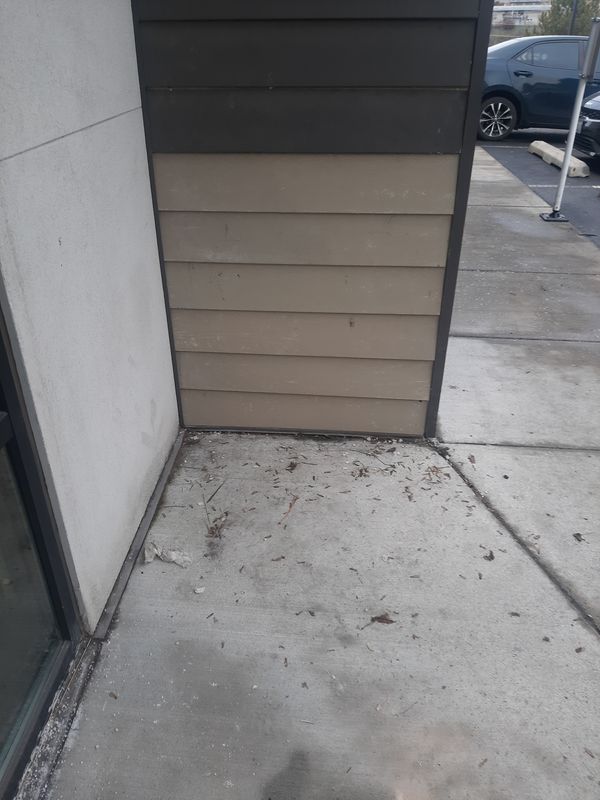 Interior Repairs