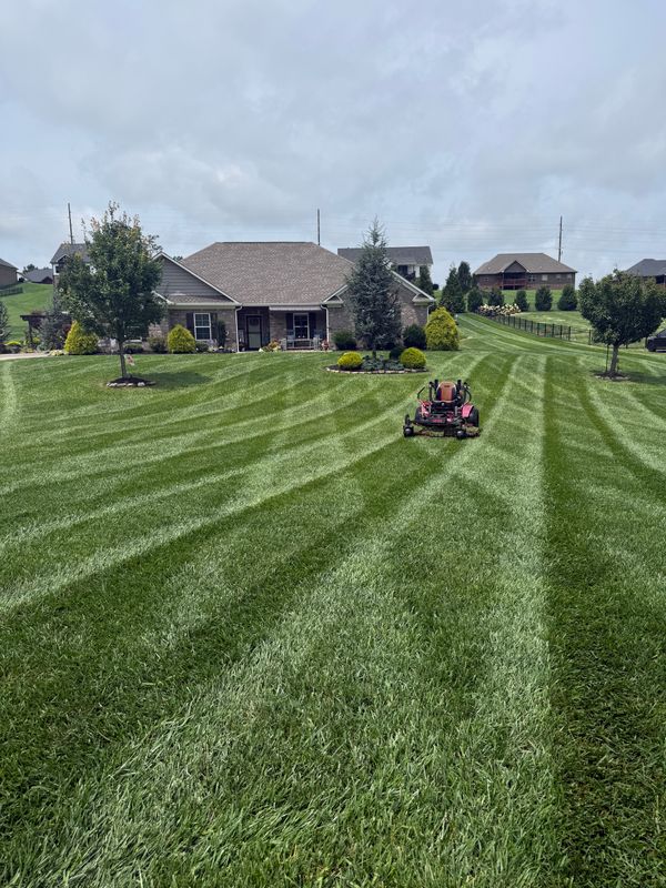 Lawn Maintenance