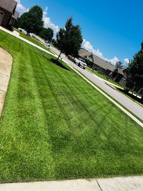 Landscape Maintenance