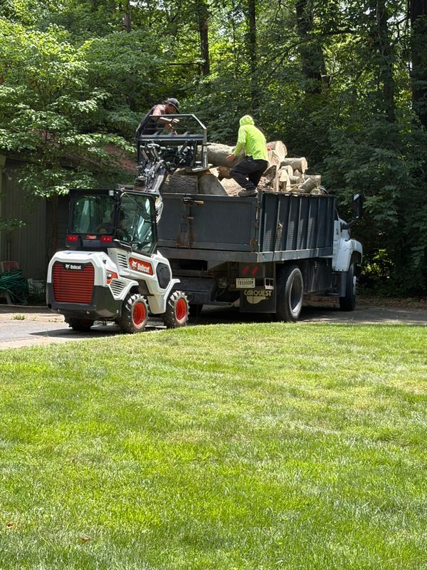 Tree Removal