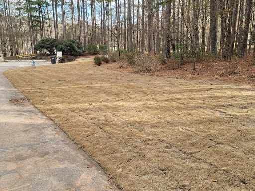 Sod Installation