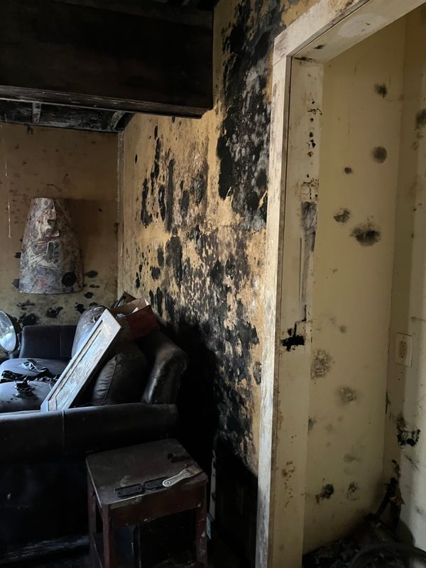 Mold Remediation