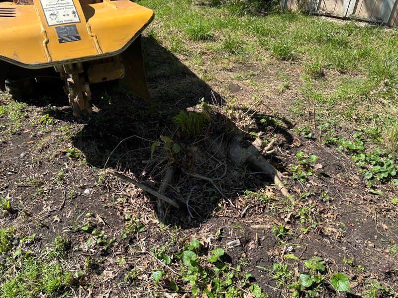Stump Removal