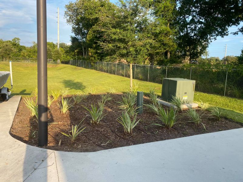 Mulch Installation