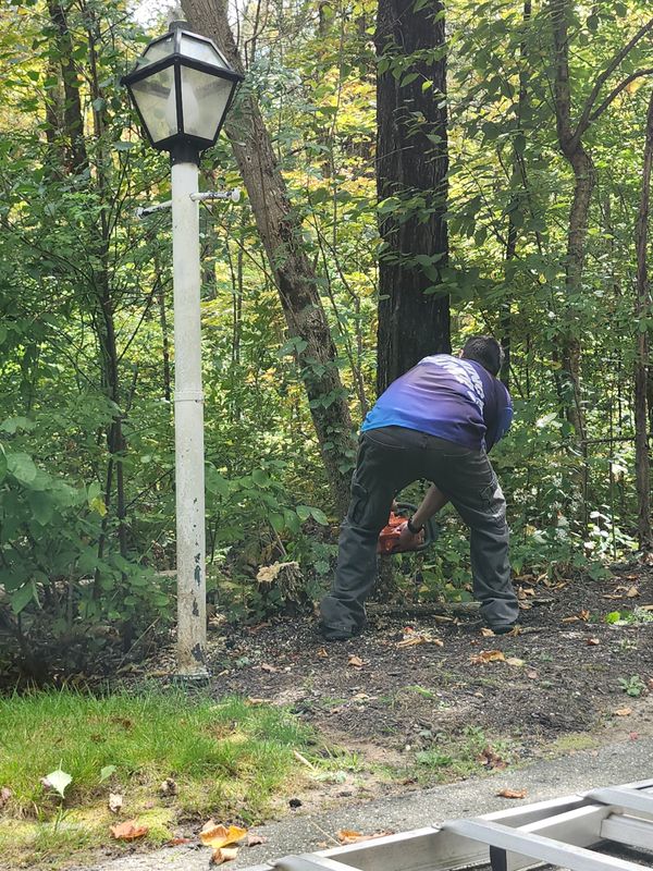 Fall Cleanups