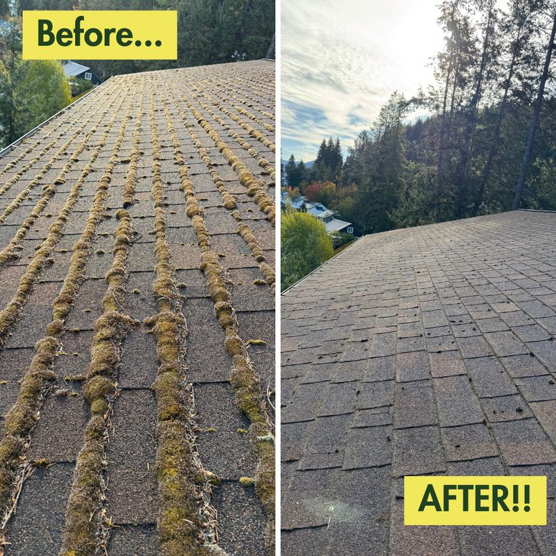 Before & After Photos