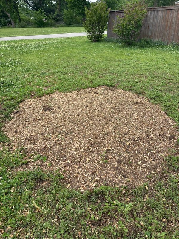 Stump Removal