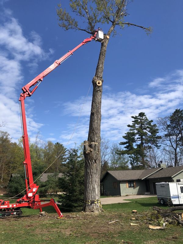 Tree Trimming and Pruning