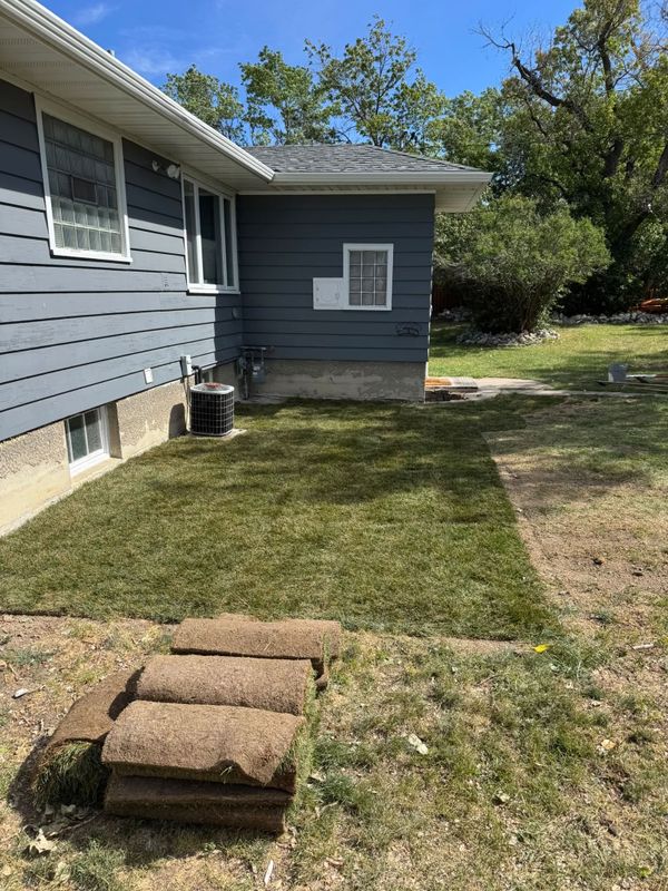 Sod  Installing