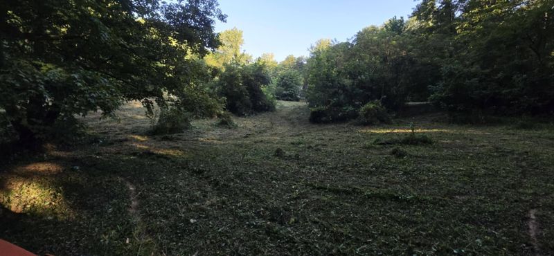 Land Clearing