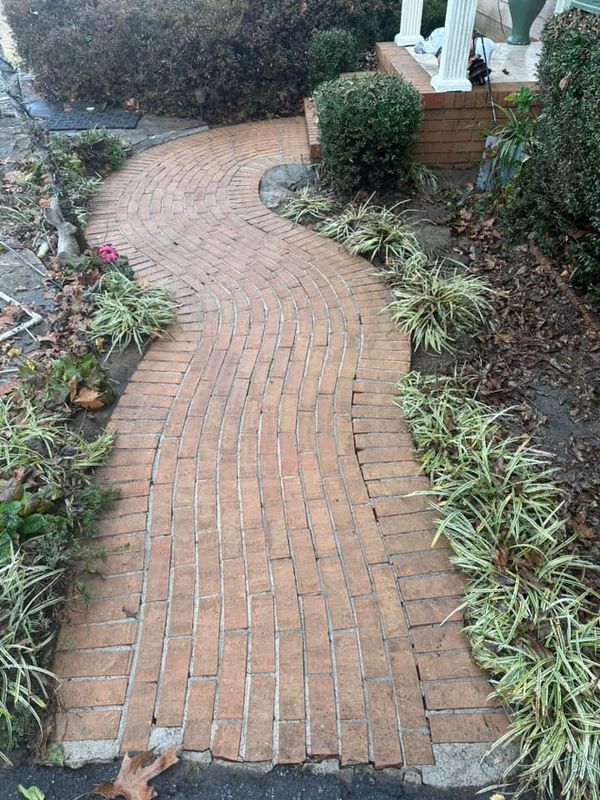 Shrub Removal