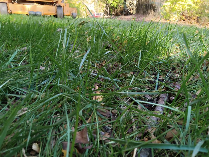 Grass Up