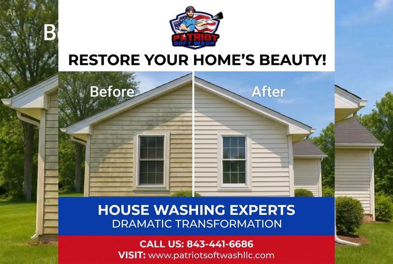 Home Softwash