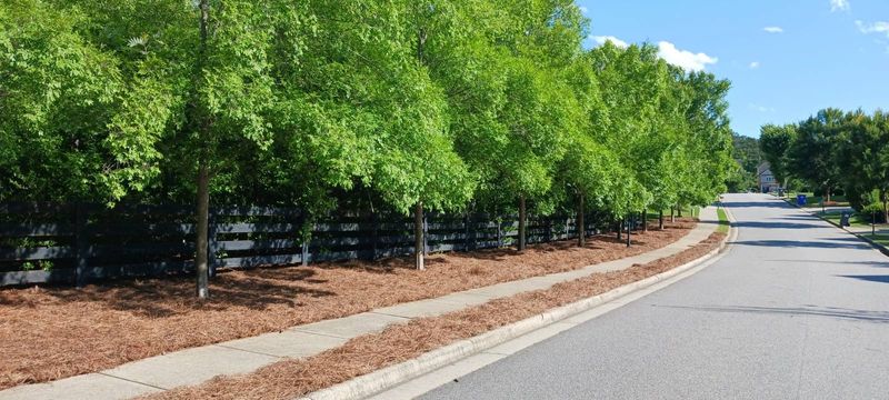 Landscaping