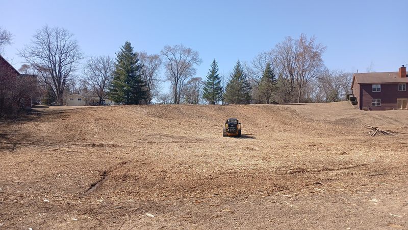 Land Clearing