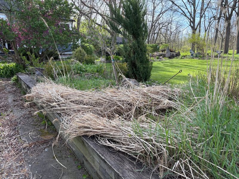 Seasonal Clean-Up