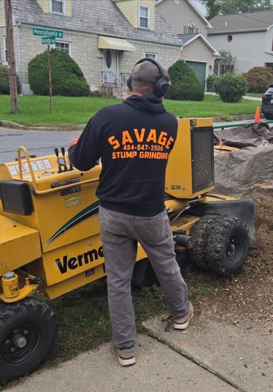Tree Services