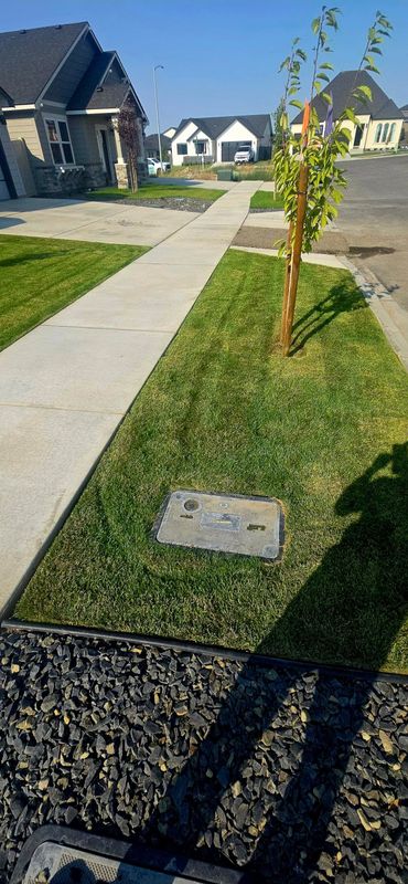 Lawn Maintenance