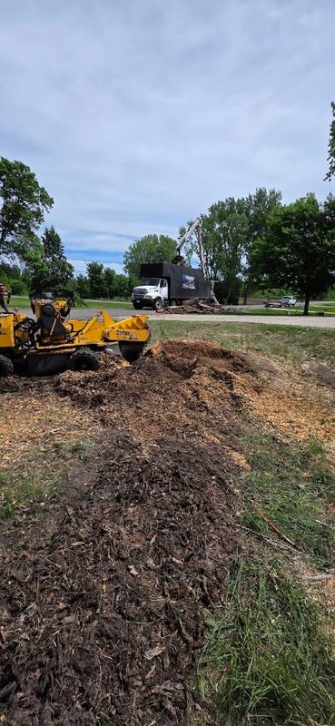 Stump Grinding