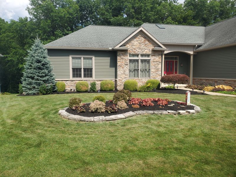 Tree & Shrub Care