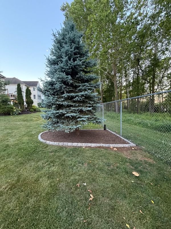 Stone & Hardscaping