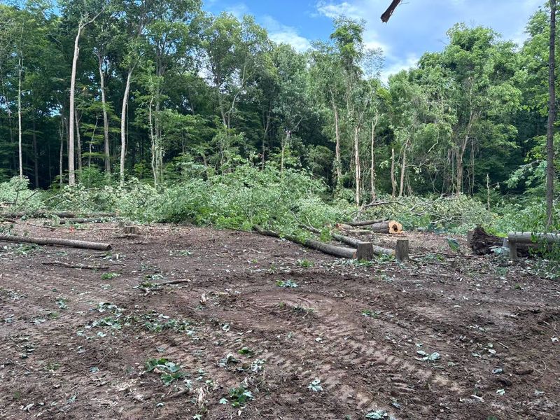 Land Clearing
