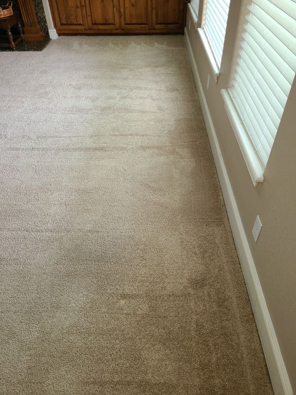 Carpet Cleaning