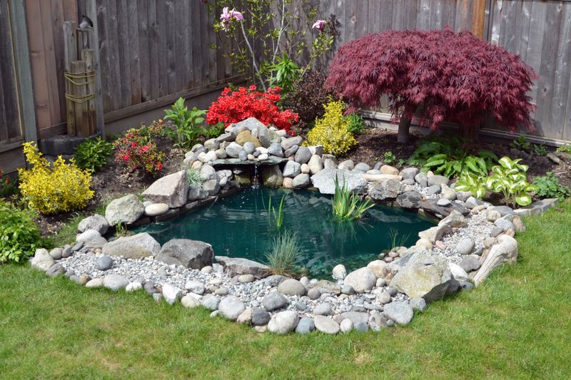 Landscape Design & Installation