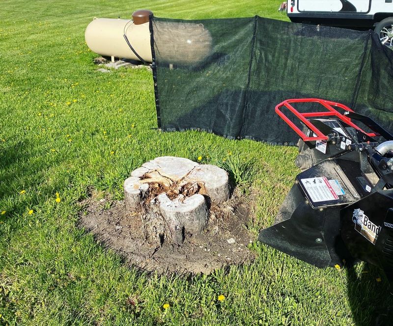 Stump Grinding