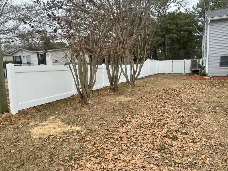 Photos