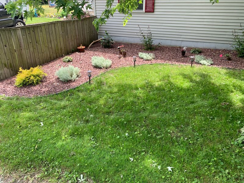 Landscape Installation