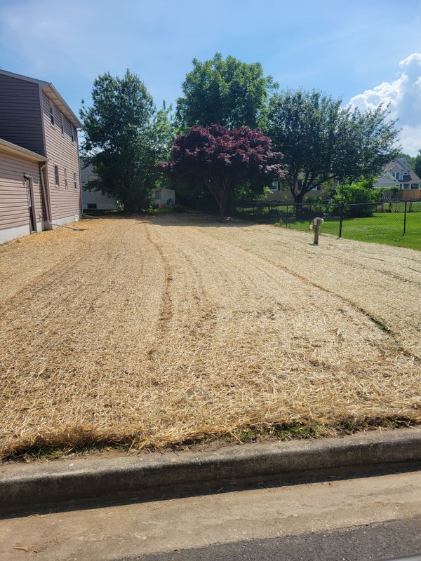 Lawn Care and Maintenance