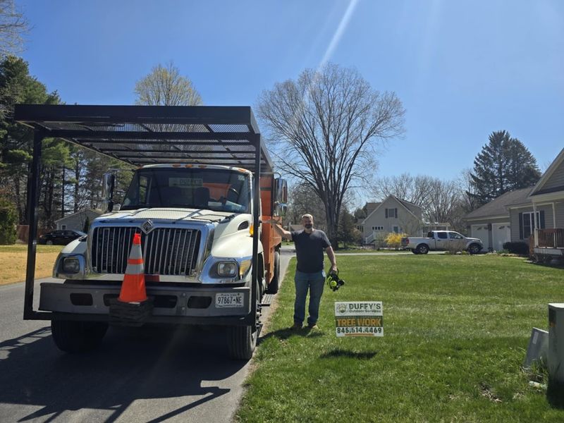 Tree Services