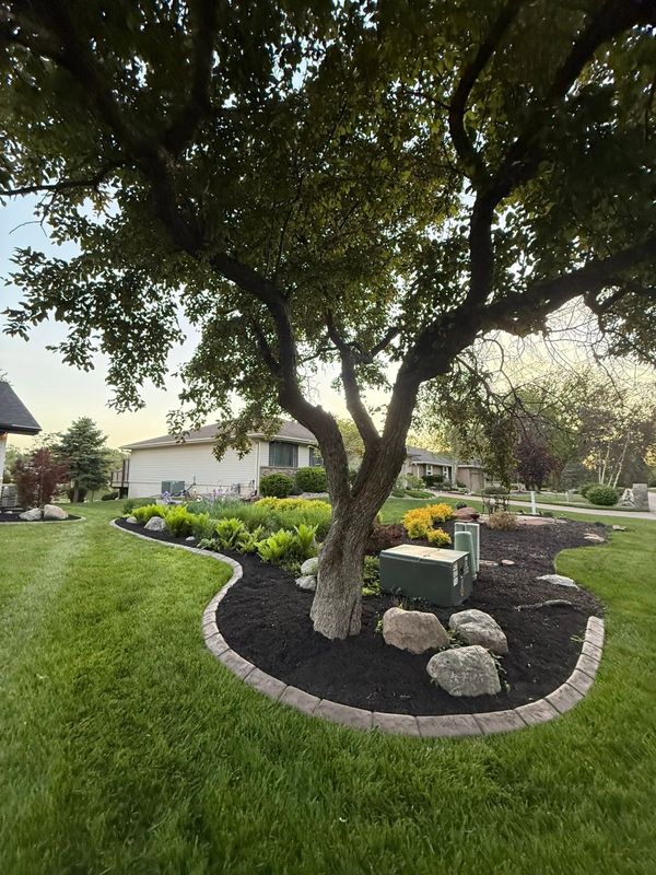 Plant & Shrub Installations