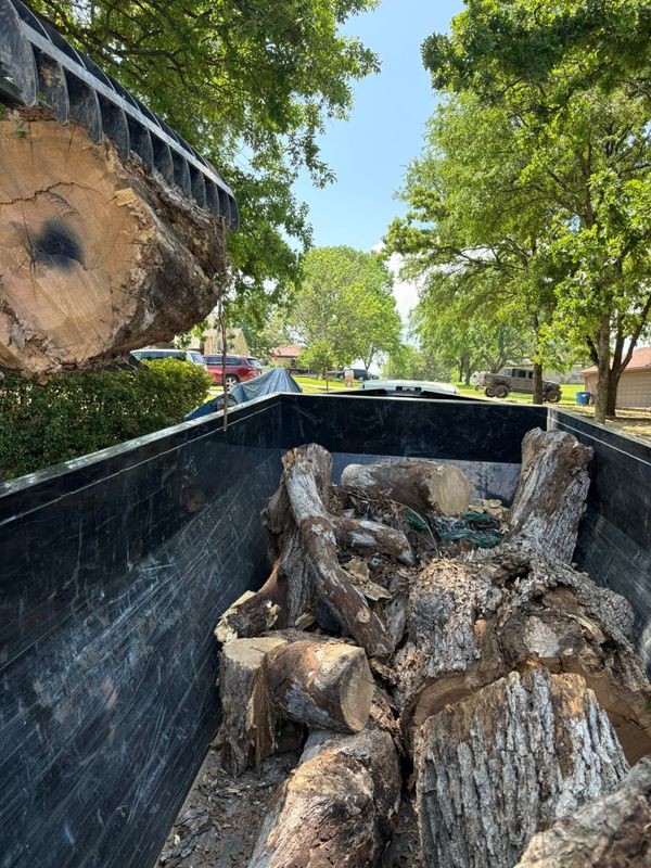 Junk Removal