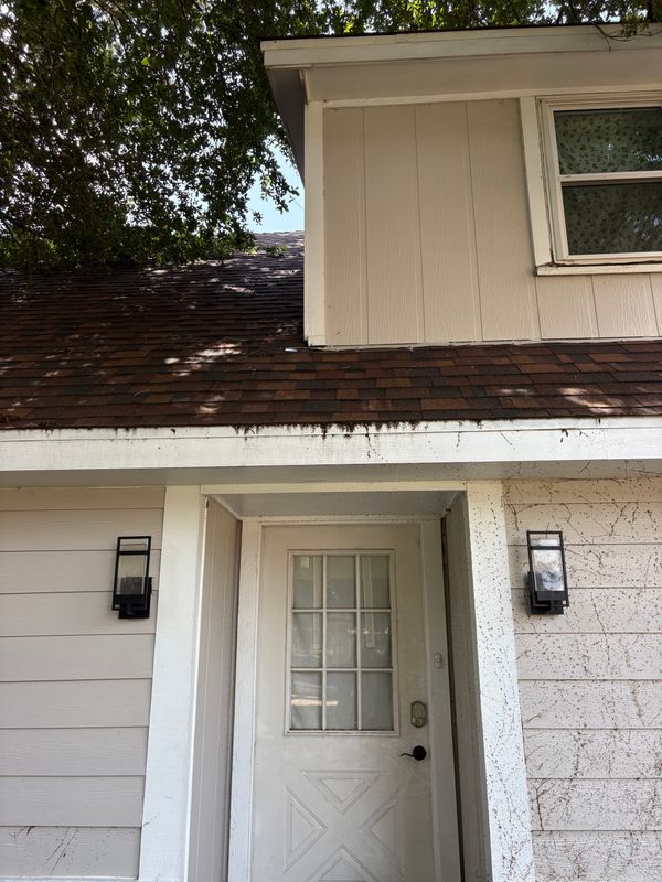 Gutter Cleaning