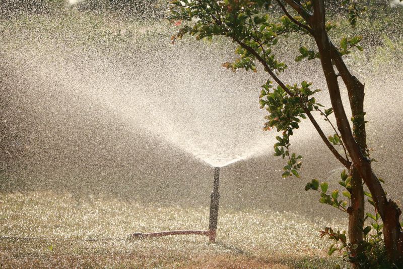 Lawn Maintenance